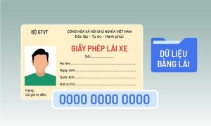 giấy phép lái xe