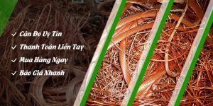 Mua Phế Liệu 24H - Chuyên thu mua phế liệu đồng giá cao Quận 12